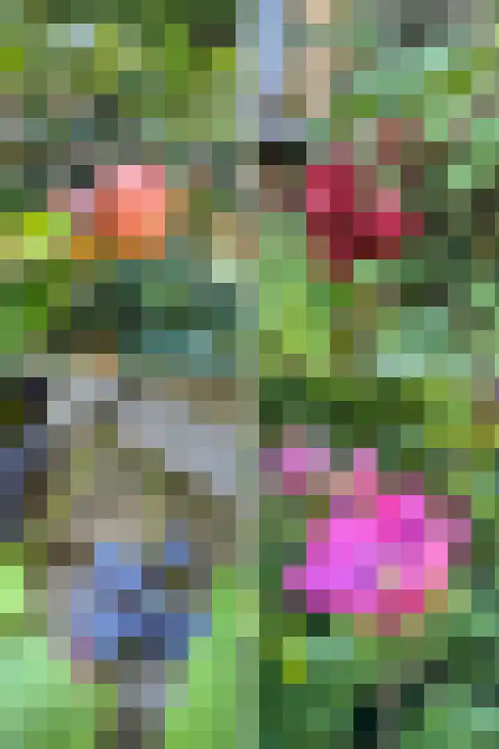 Goudenregenlaan 2 Hilversum thumbnail 27