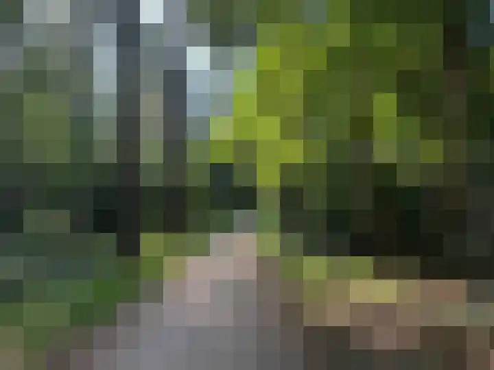 Goudenregenlaan 2 Hilversum thumbnail 32