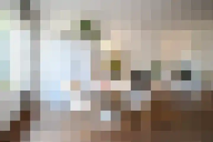 Goudenregenlaan 2 Hilversum thumbnail 4