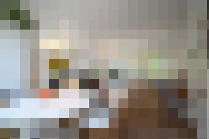 Goudenregenlaan 2 Hilversum thumbnail 6