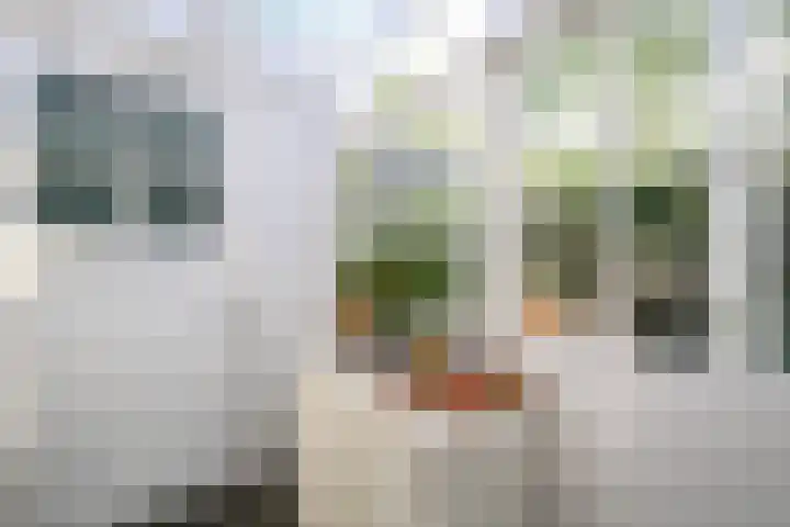 Goudenregenlaan 2 Hilversum thumbnail 9