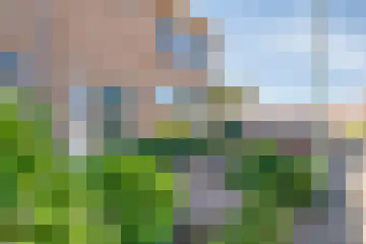Goudenregenlaan 2 Kamerik foto 3