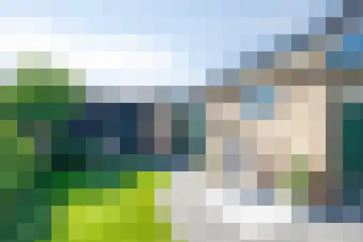 Goudenregenlaan 2 Kamerik thumbnail 36