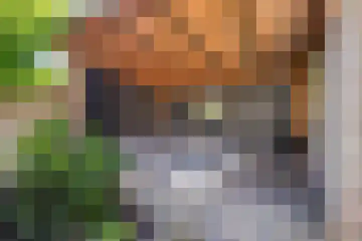 Goudenregenlaan 2 Kamerik thumbnail 38