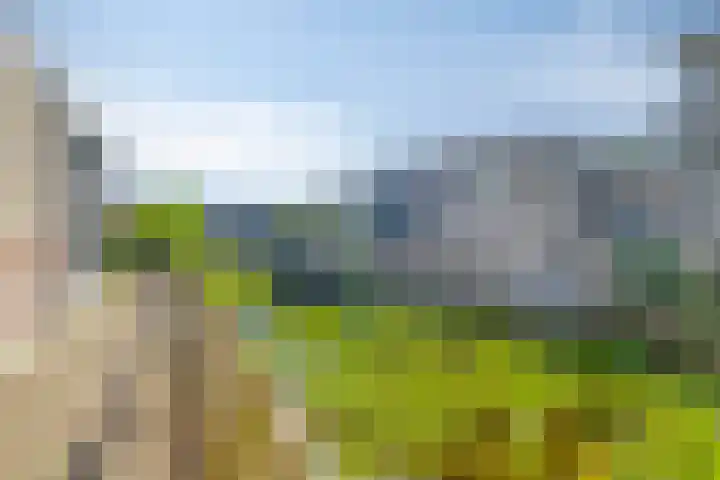 Goudenregenlaan 2 Kamerik thumbnail 41
