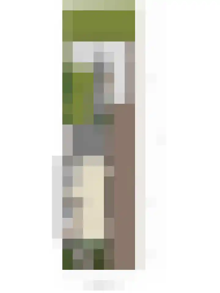 Goudenregenlaan 2 Kamerik thumbnail 44