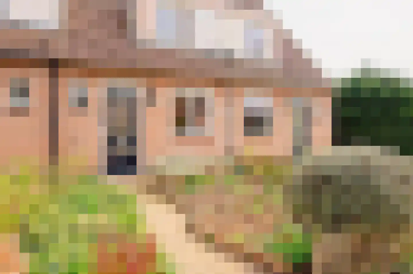 Goudenregenlaan 20 Aalst thumbnail 11