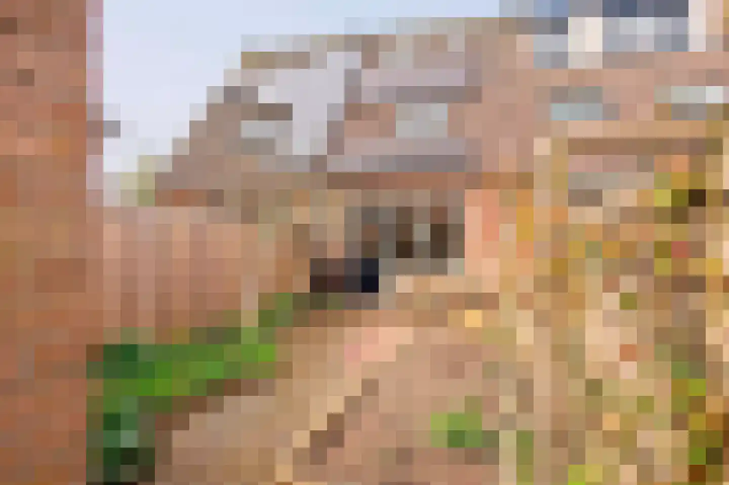 Goudenregenlaan 20 Aalst thumbnail 12