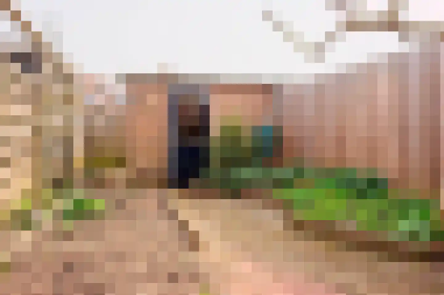 Goudenregenlaan 20 Aalst thumbnail 13