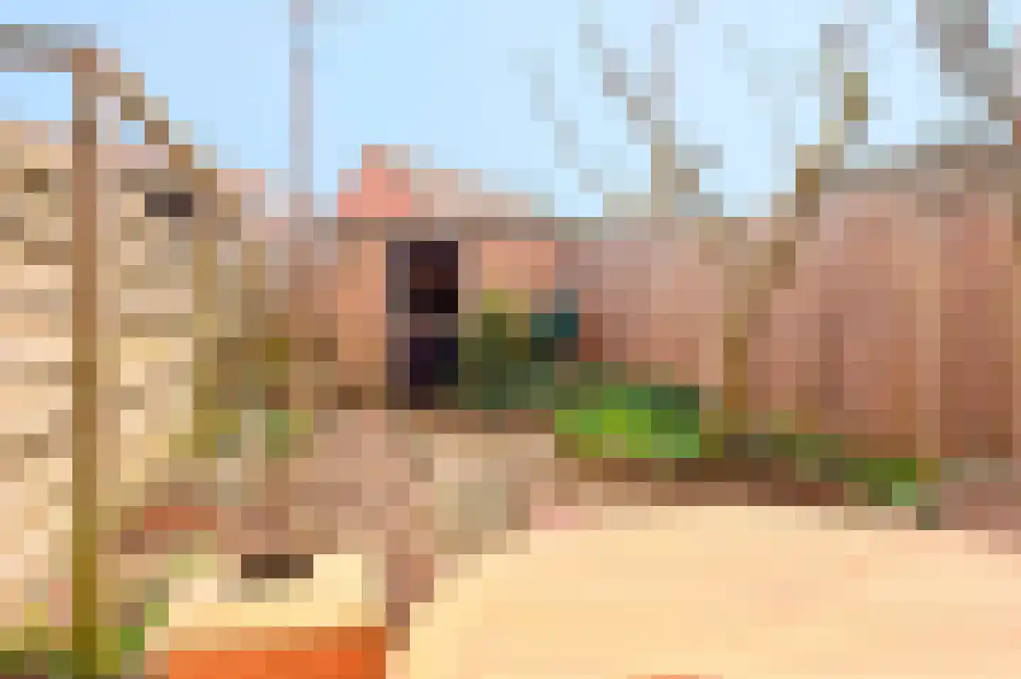 Goudenregenlaan 20 Aalst thumbnail 15