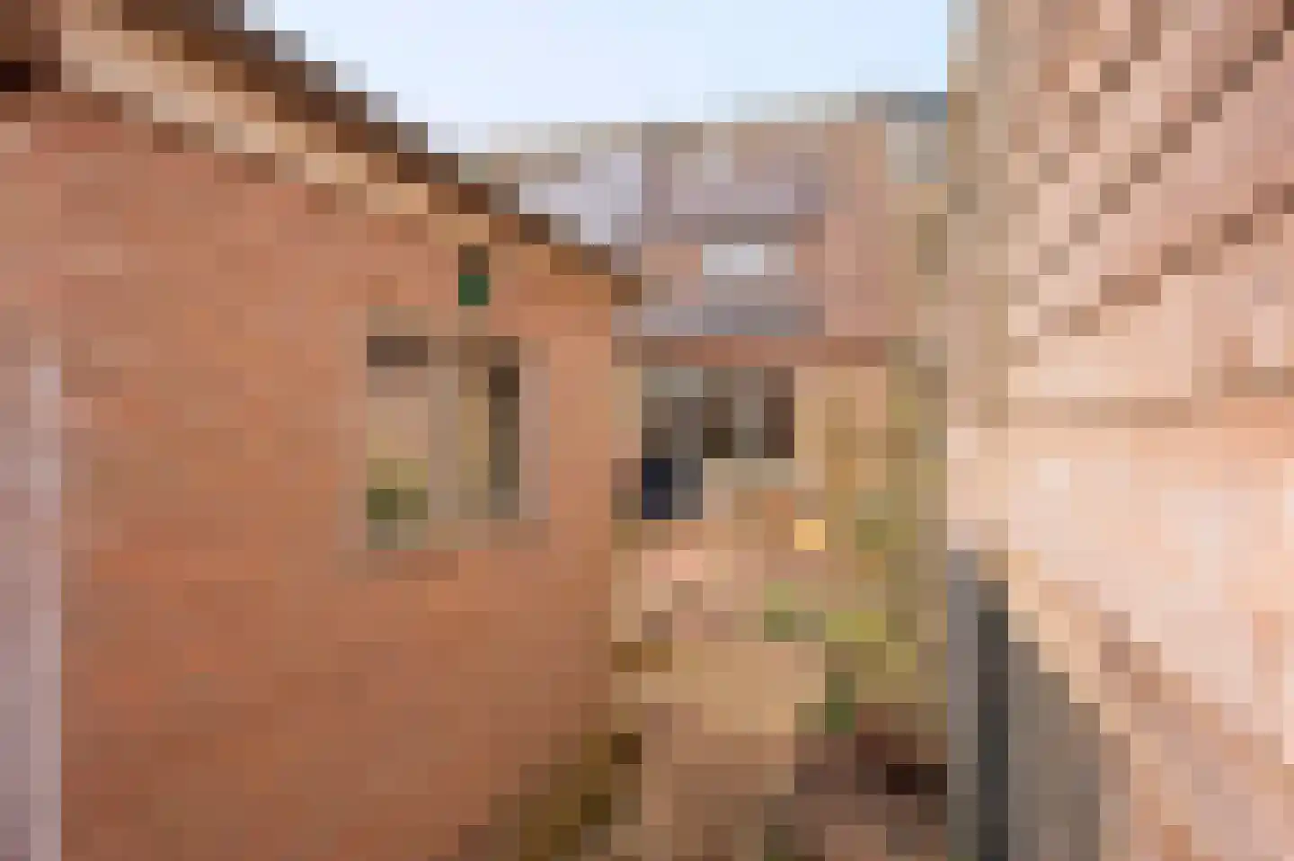 Goudenregenlaan 20 Aalst thumbnail 16