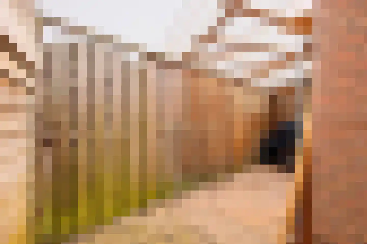 Goudenregenlaan 20 Aalst thumbnail 17