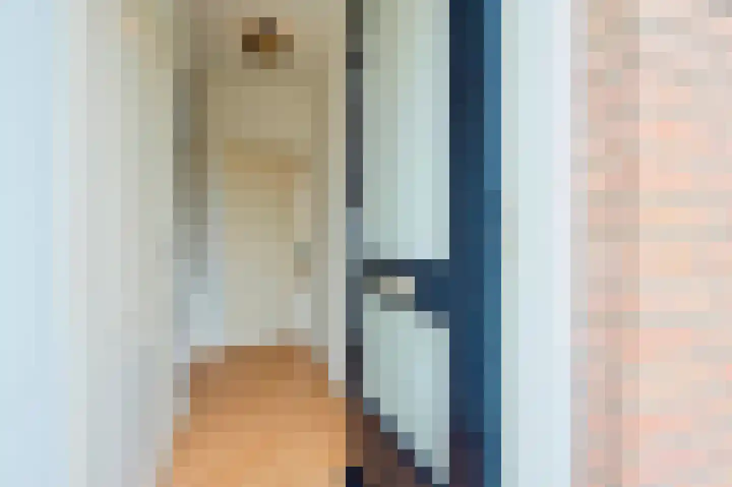 Goudenregenlaan 20 Aalst thumbnail 18