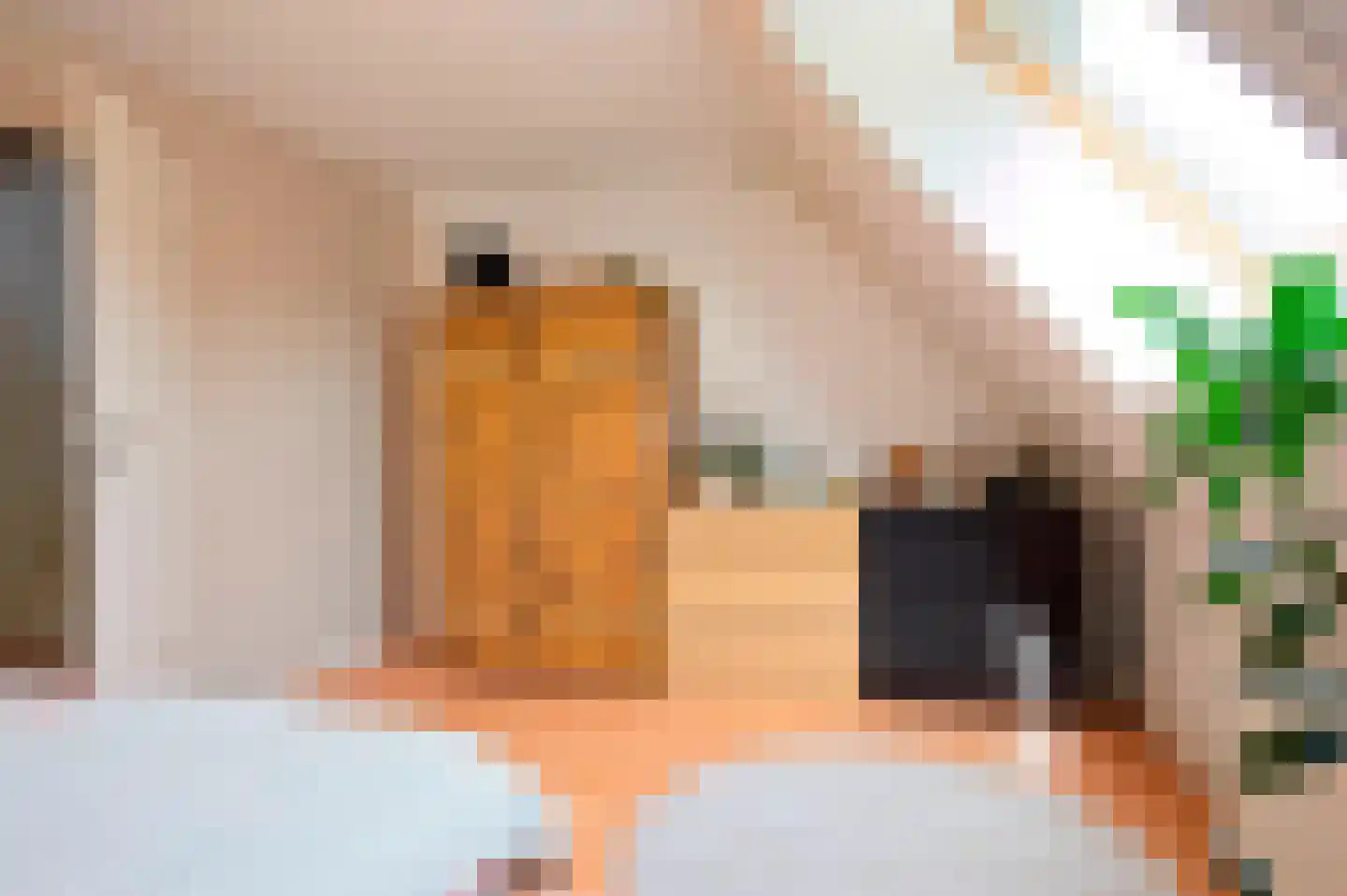Goudenregenlaan 20 Aalst thumbnail 32