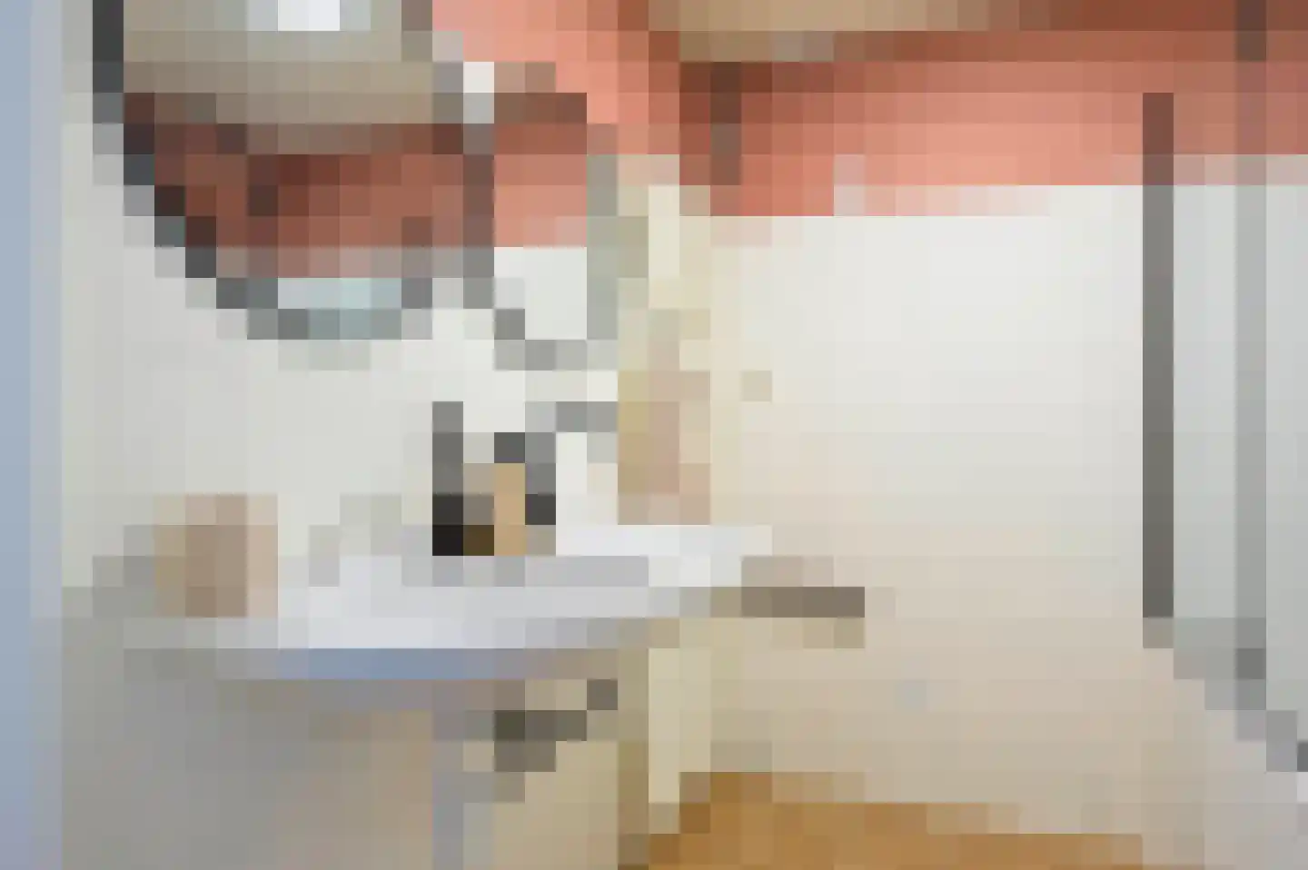 Goudenregenlaan 20 Aalst thumbnail 36