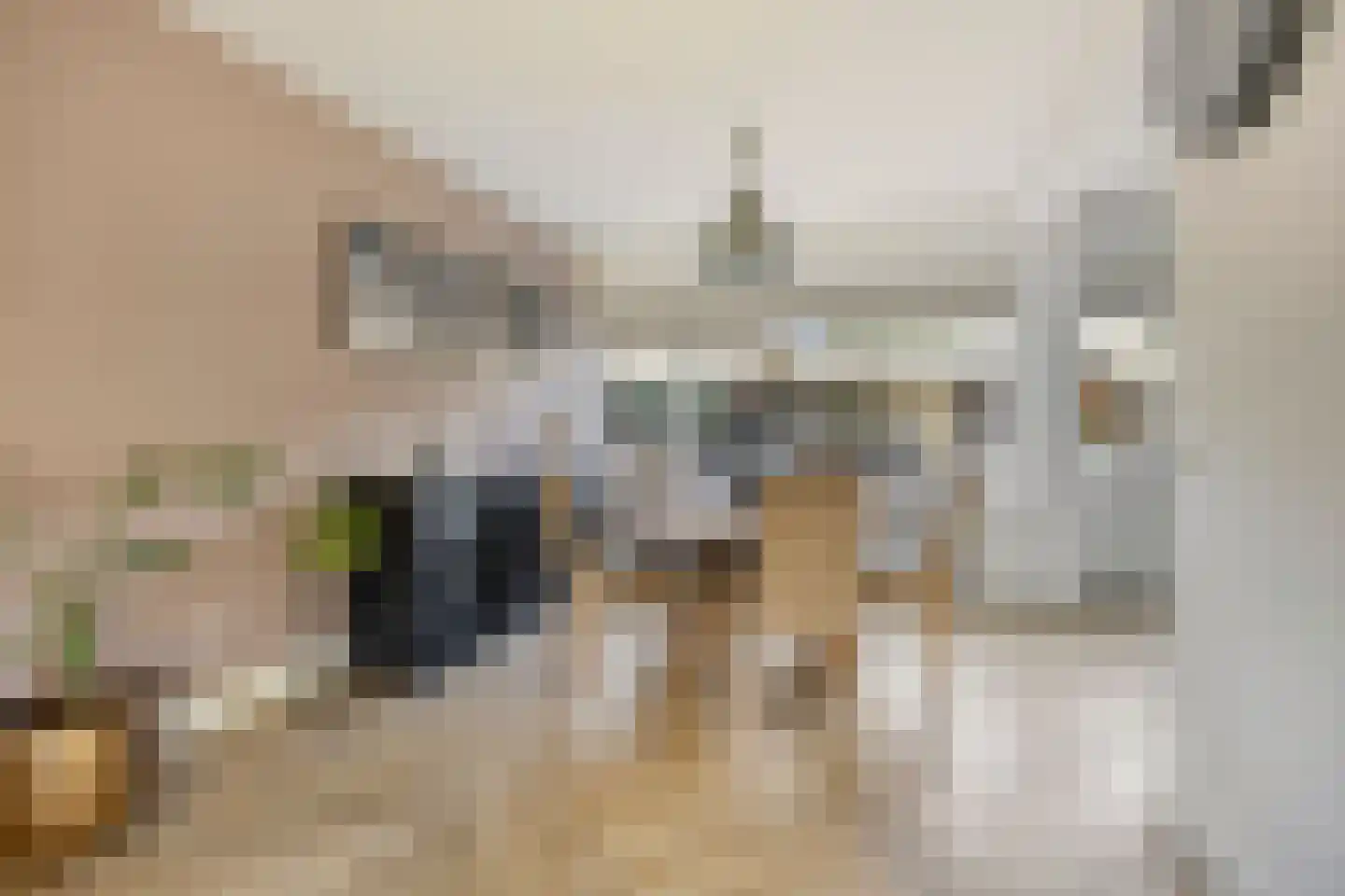 Goudenregenlaan 20 Heerhugowaard thumbnail 12
