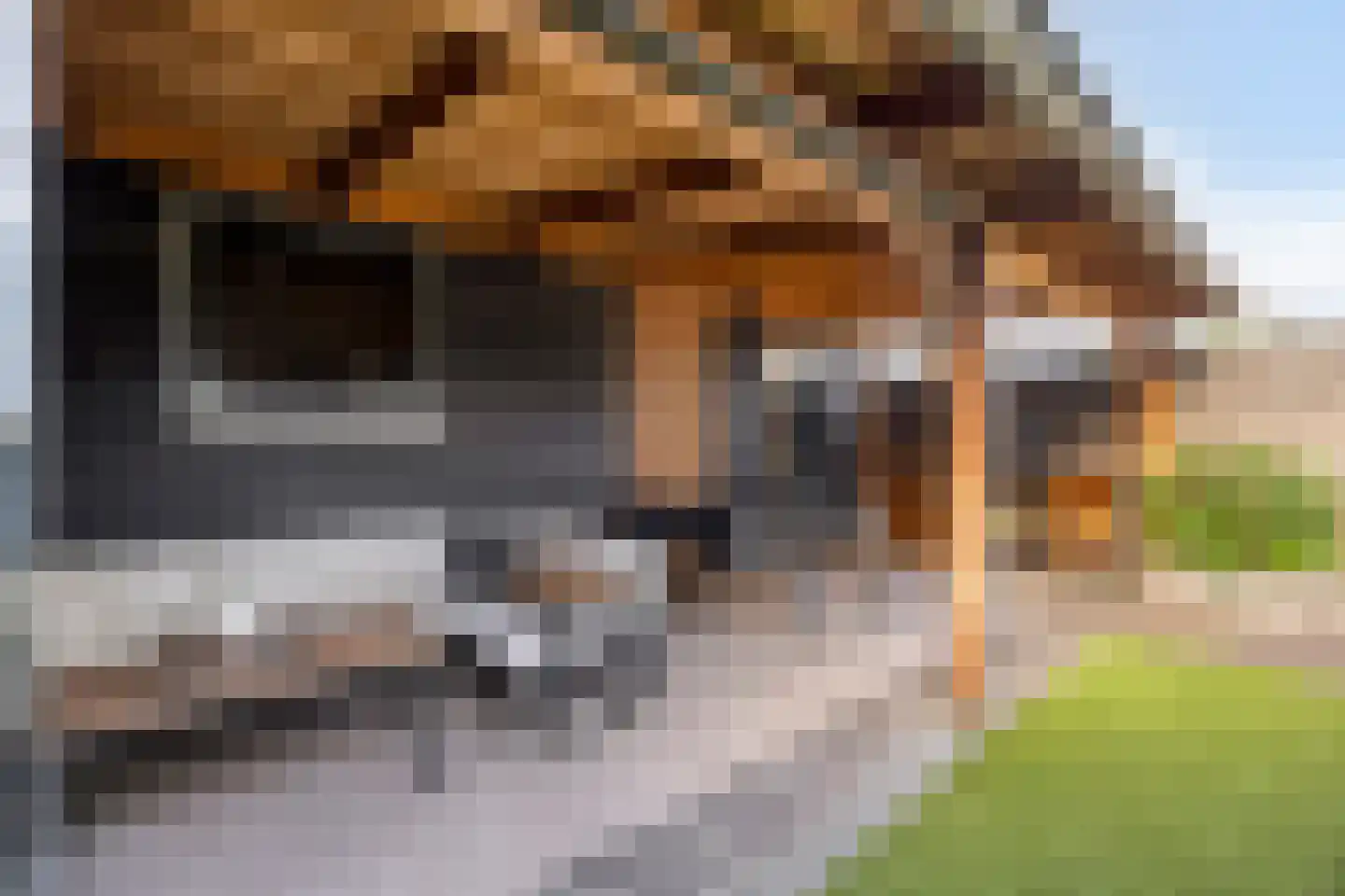 Goudenregenlaan 20 Heerhugowaard thumbnail 21