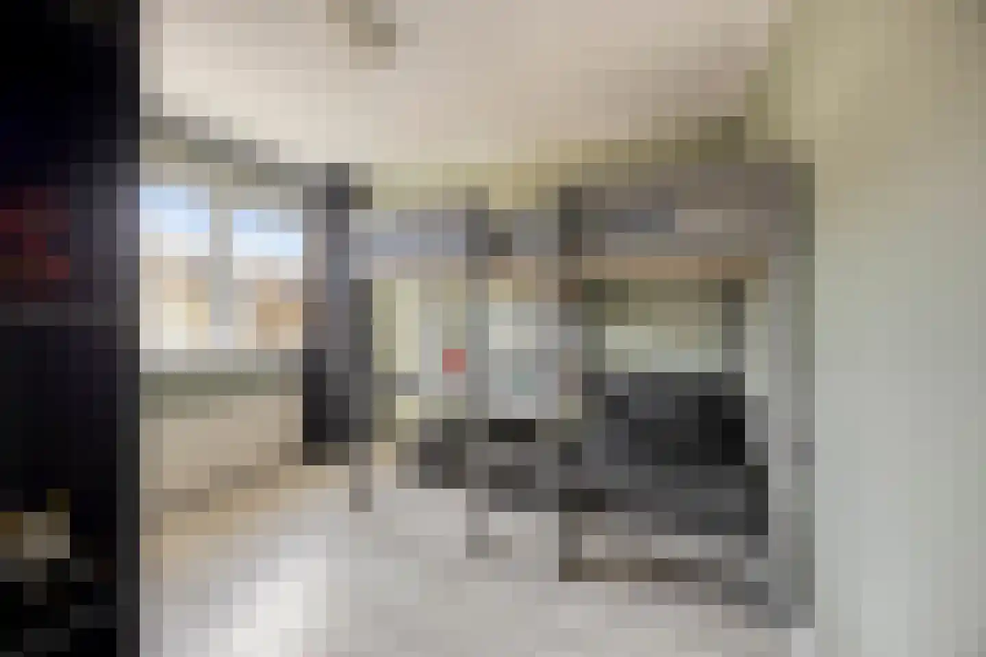 Goudenregenlaan 20 Heerhugowaard thumbnail 29