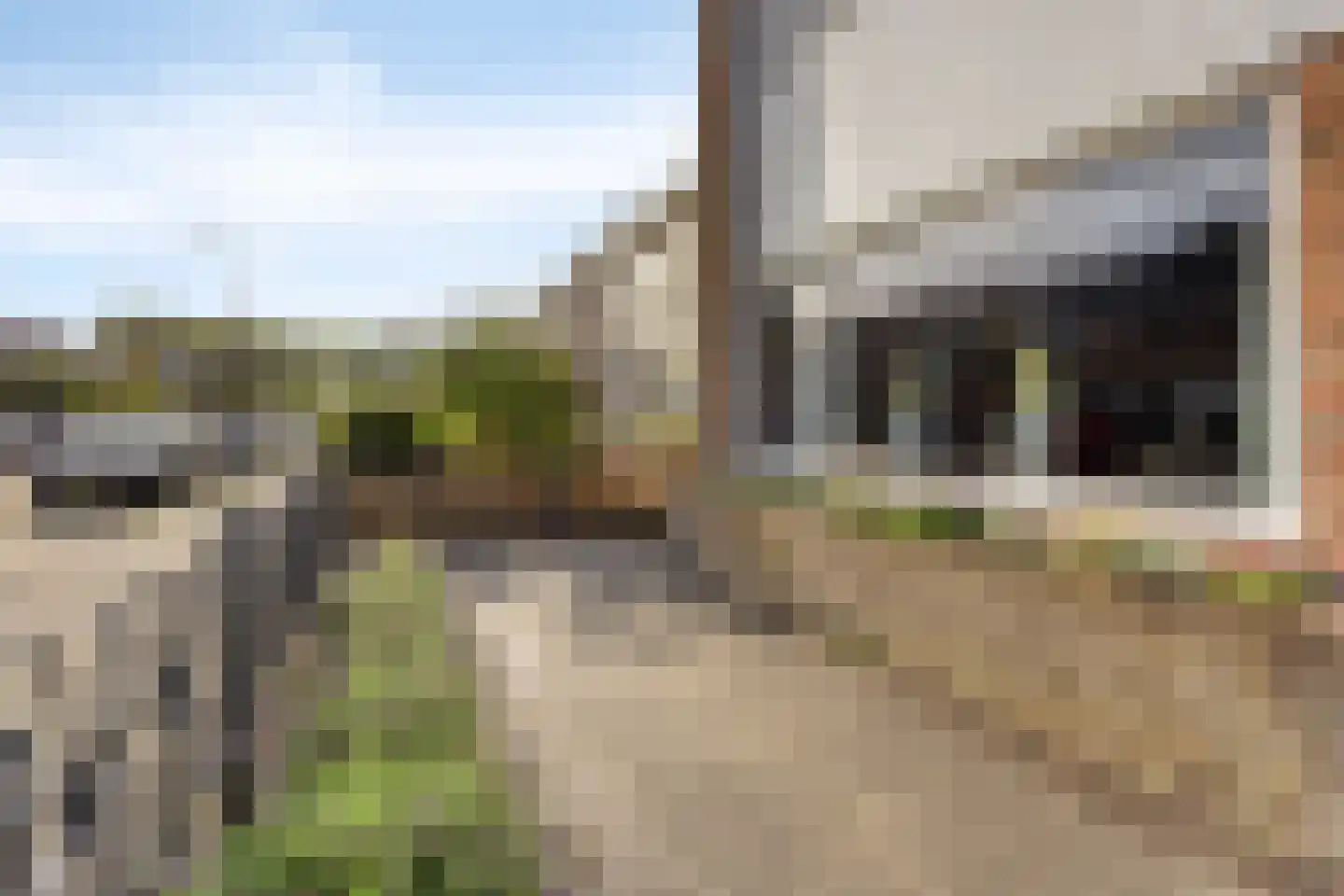 Goudenregenlaan 20 Heerhugowaard thumbnail 37