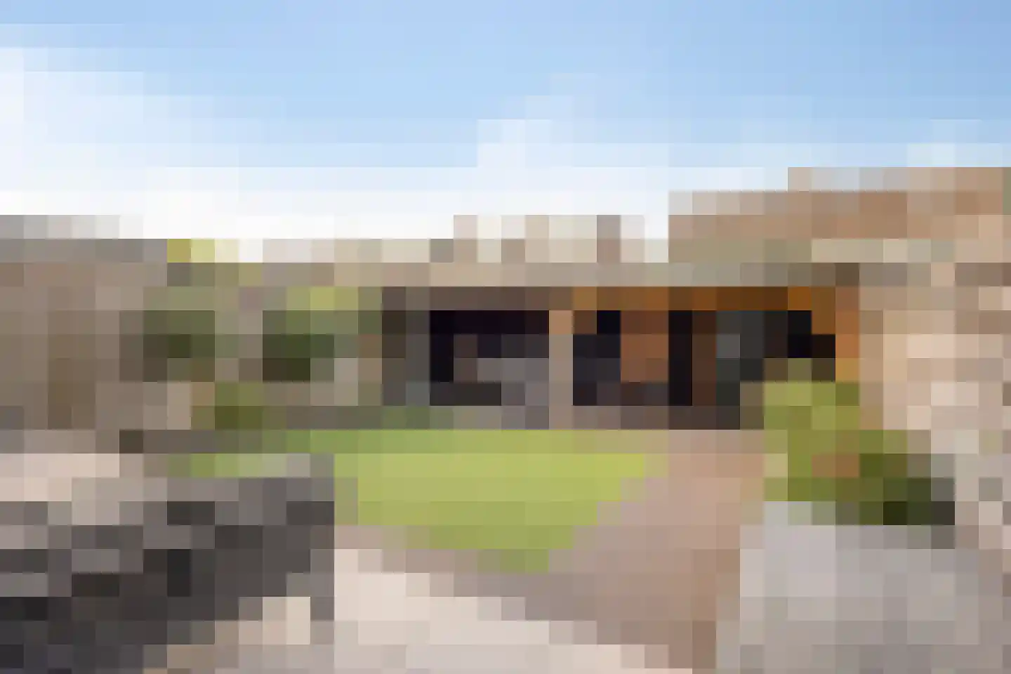 Goudenregenlaan 20 Heerhugowaard thumbnail 4