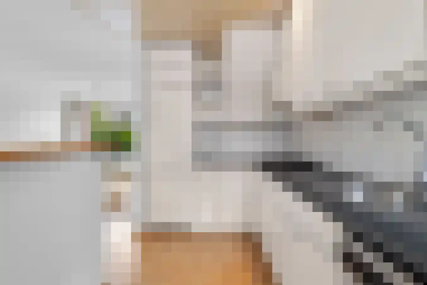 Goudenregenlaan 21 Castricum thumbnail 17