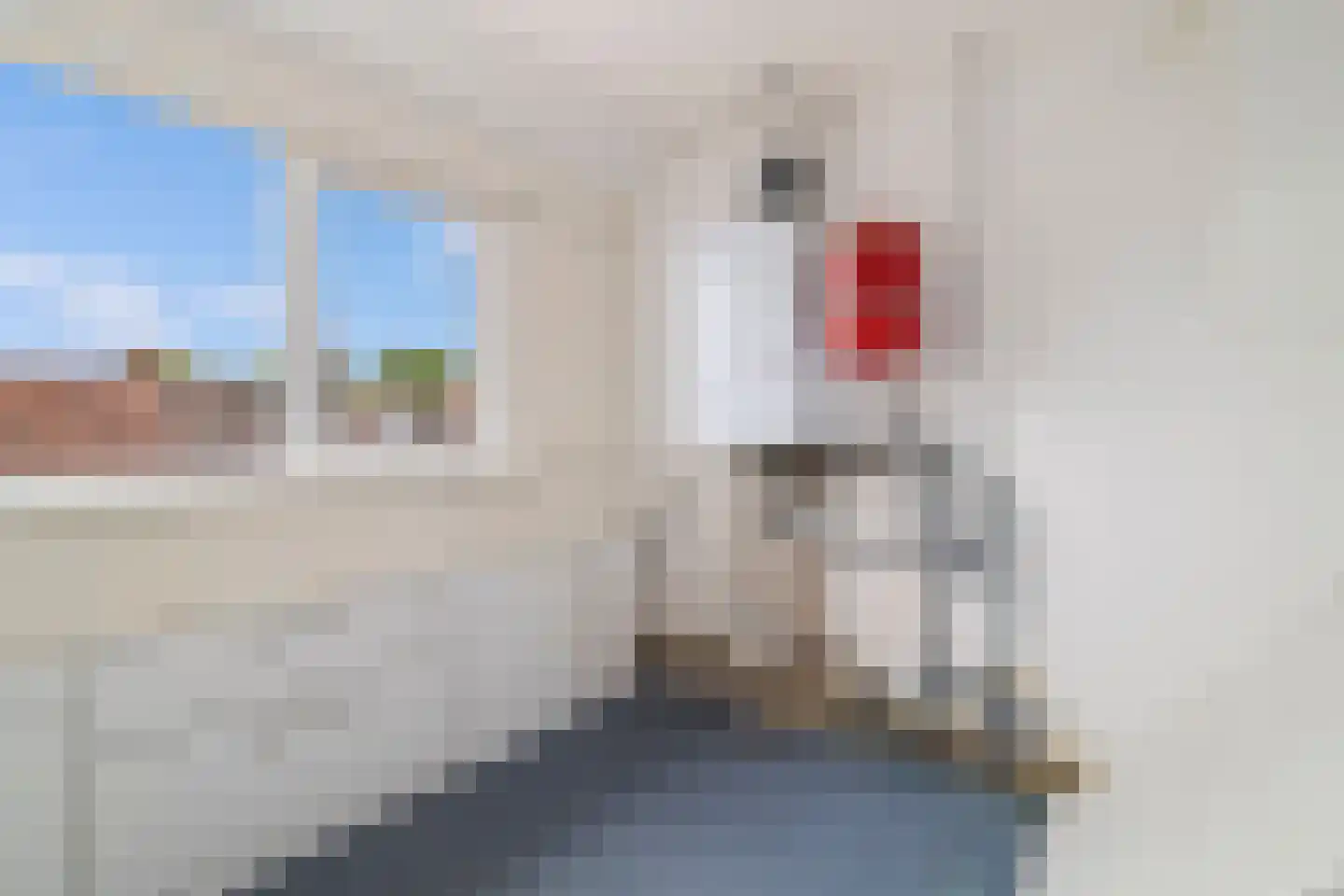 Goudenregenlaan 21 Castricum thumbnail 29