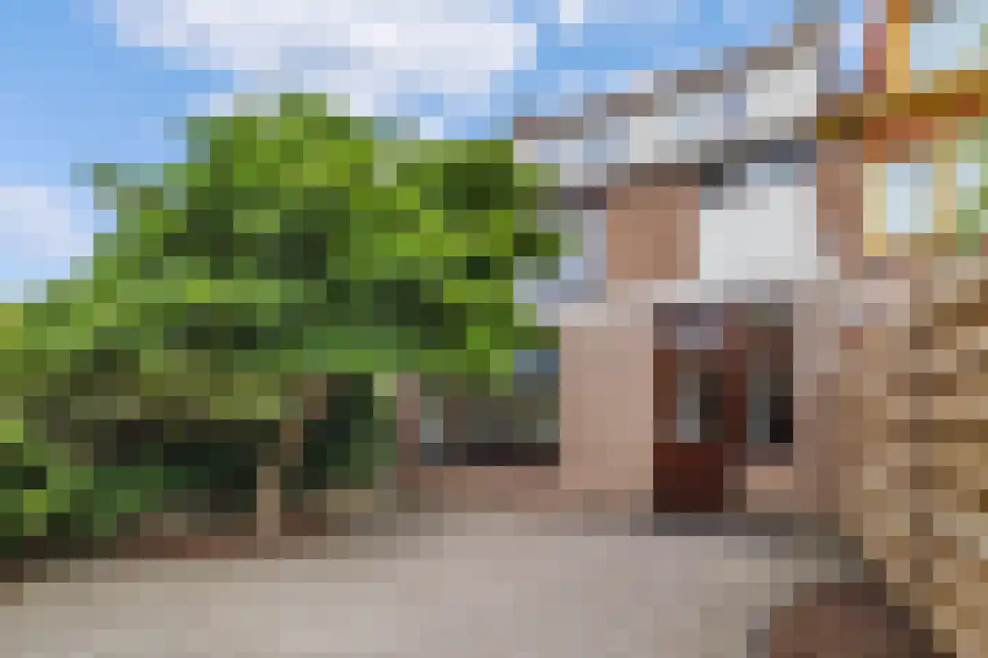 Goudenregenlaan 21 Castricum thumbnail 35