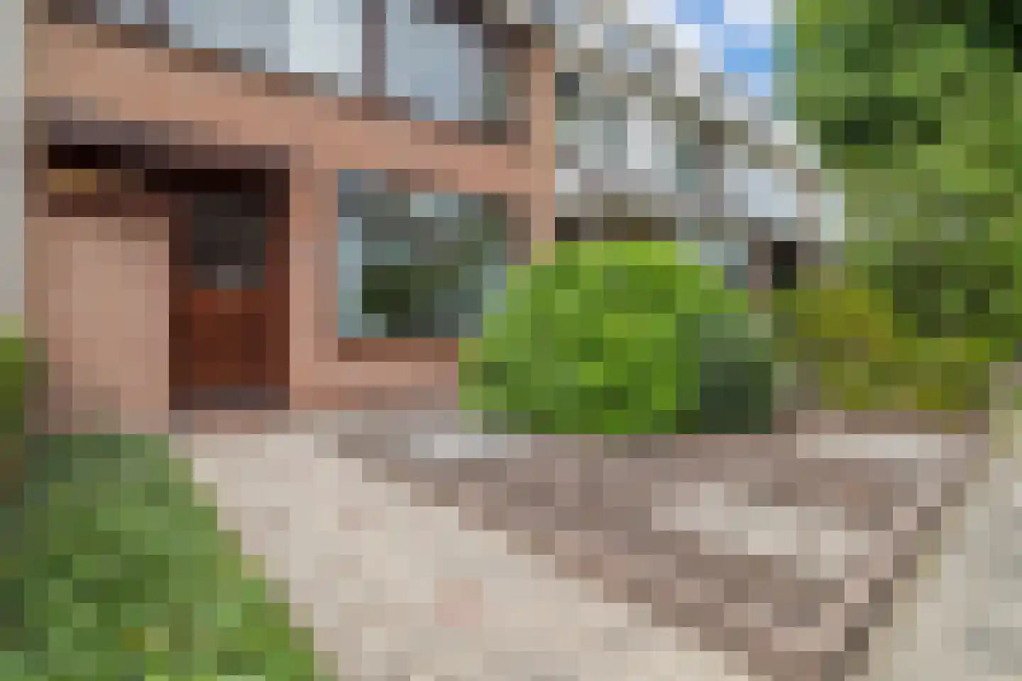 Goudenregenlaan 21 Castricum thumbnail 6
