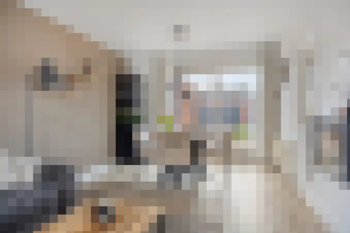 Goudenregenlaan 21 Nieuwe Pekela thumbnail 17