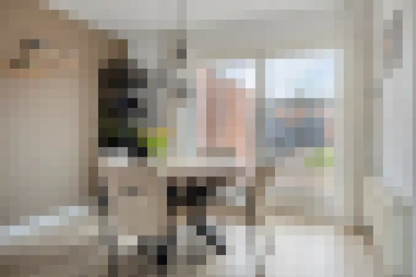 Goudenregenlaan 21 Nieuwe Pekela thumbnail 18