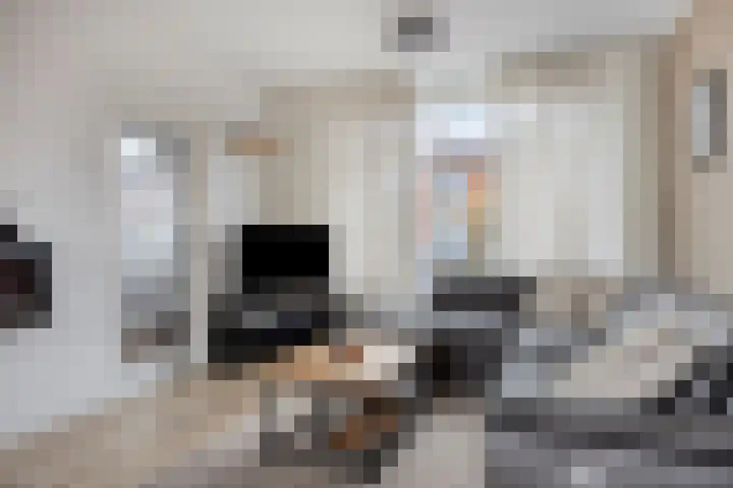 Goudenregenlaan 21 Nieuwe Pekela thumbnail 19