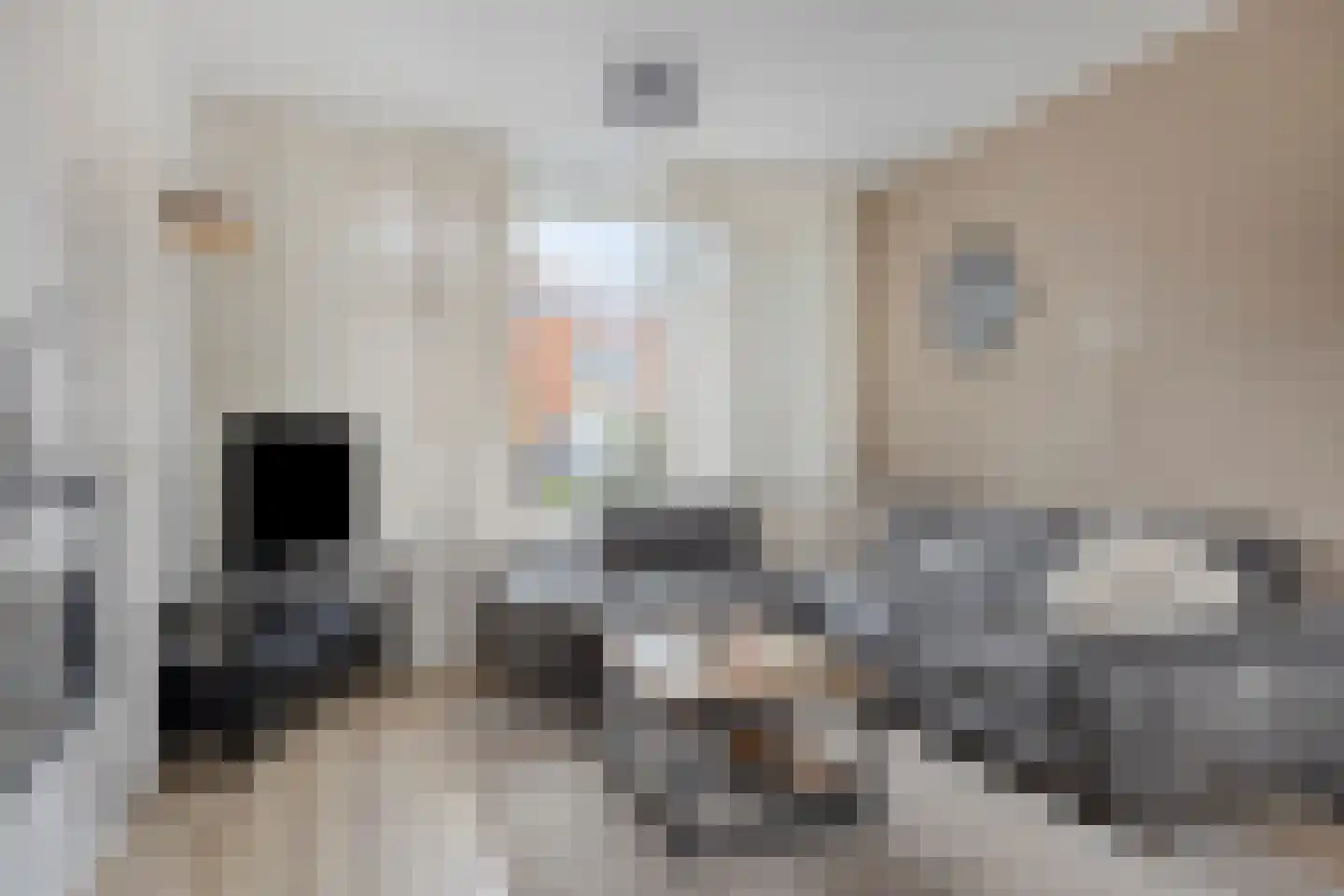 Goudenregenlaan 21 Nieuwe Pekela thumbnail 21
