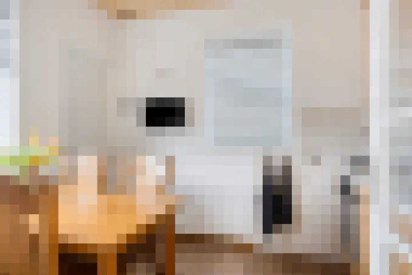 Goudenregenlaan 21 Nieuwe Pekela thumbnail 26