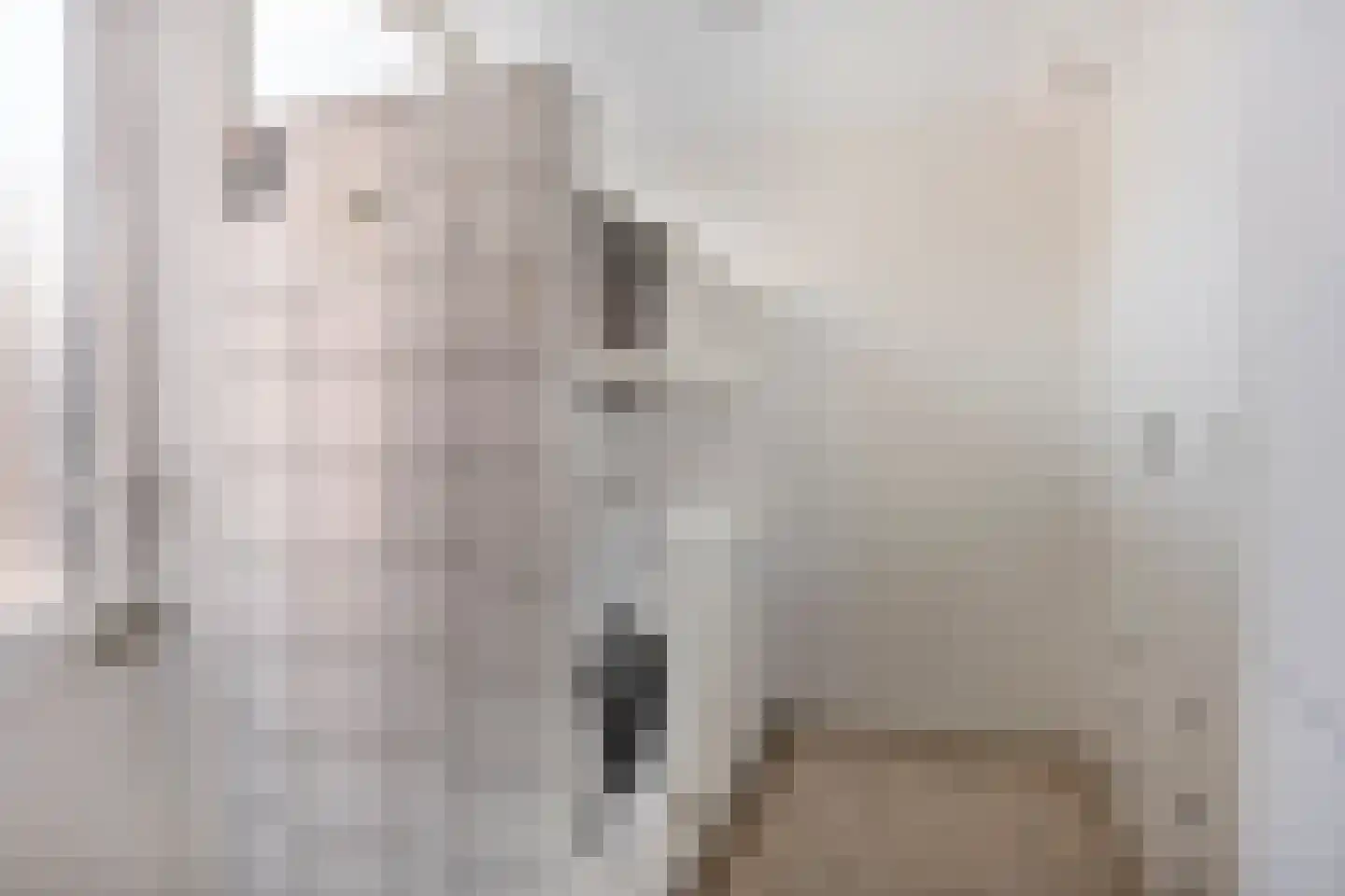 Goudenregenlaan 21 Nieuwe Pekela thumbnail 32