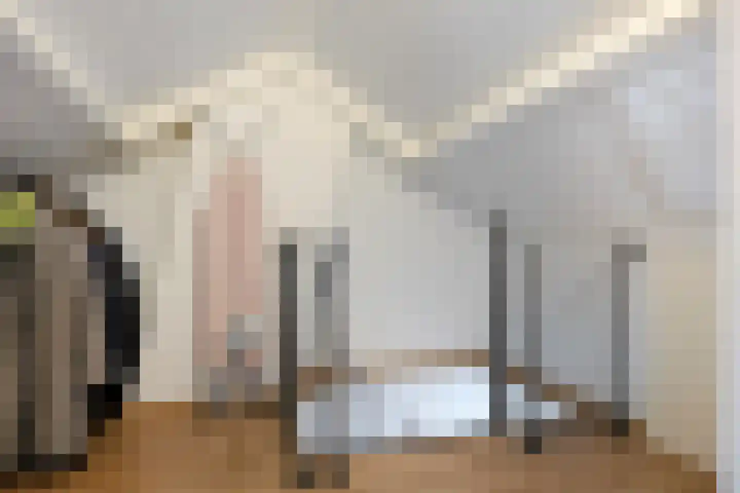 Goudenregenlaan 21 Nieuwe Pekela thumbnail 47