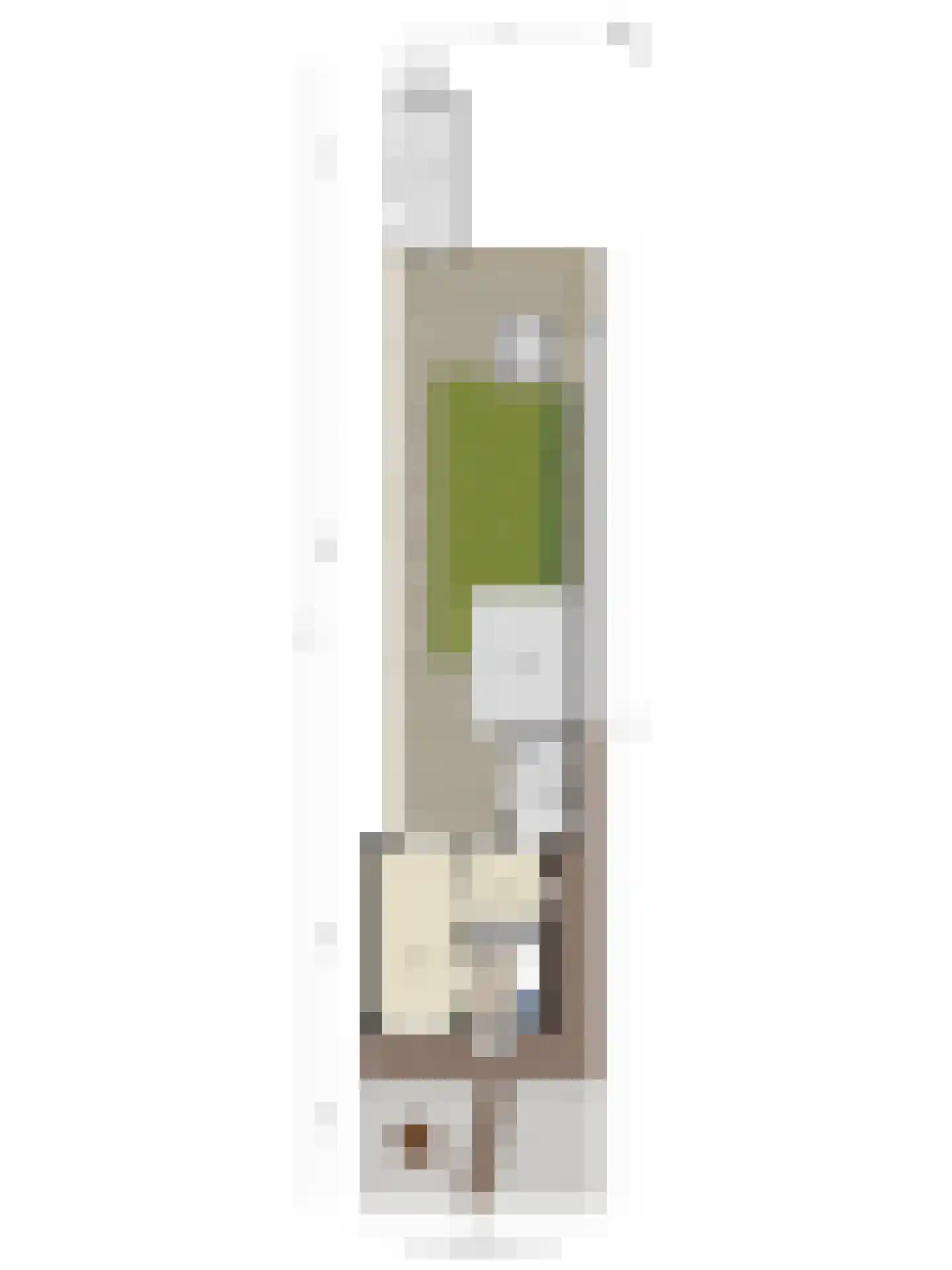 Goudenregenlaan 21 Nieuwe Pekela thumbnail 54