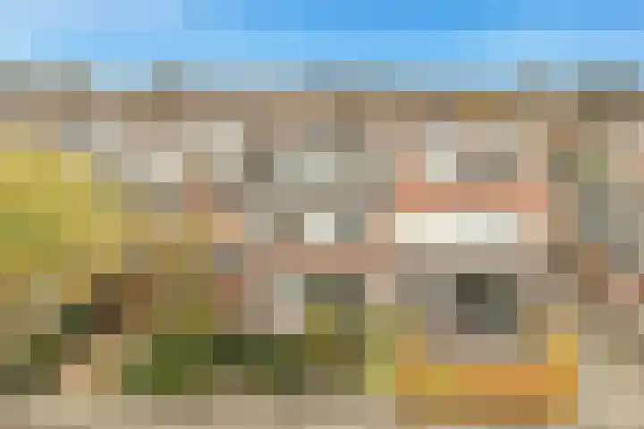 Goudenregenlaan 27 Castricum thumbnail 45