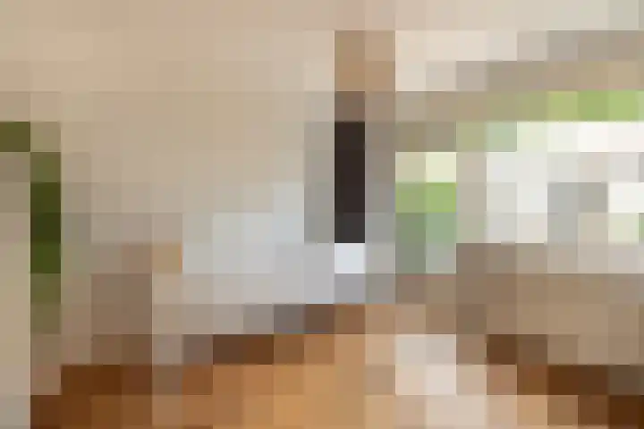 Goudenregenlaan 27 Hilversum thumbnail 15