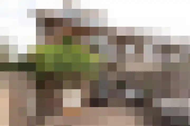 Goudenregenlaan 27 Hilversum thumbnail 25