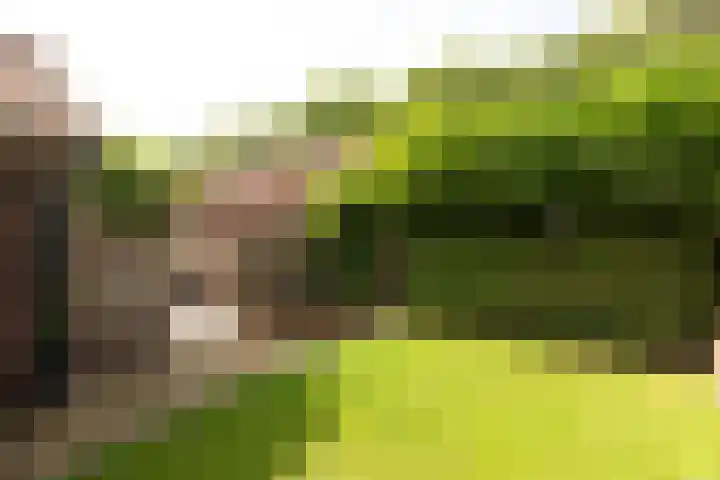 Goudenregenlaan 27 Hilversum thumbnail 26