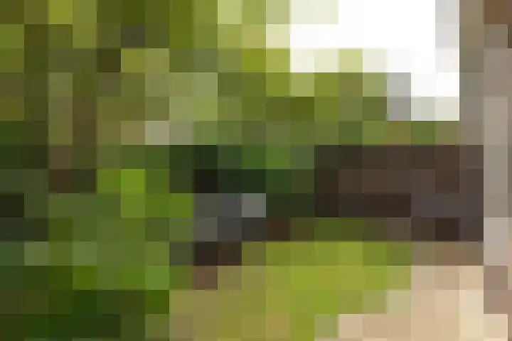 Goudenregenlaan 27 Hilversum thumbnail 27