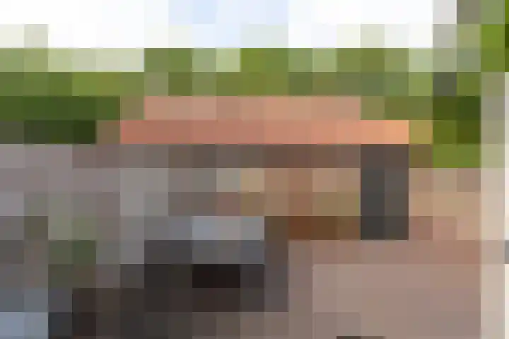 Goudenregenlaan 27 Hilversum thumbnail 30