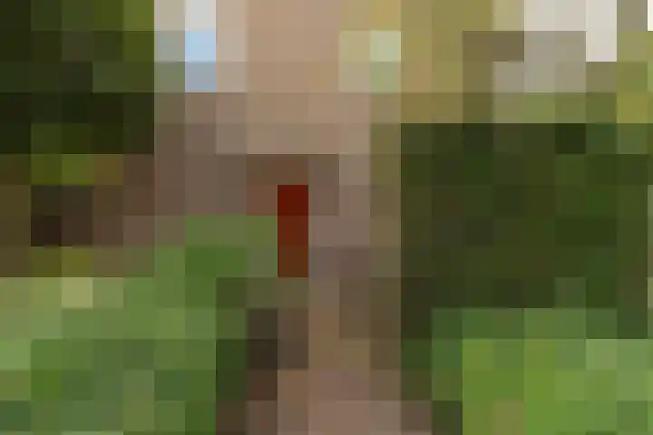 Goudenregenlaan 27 Hilversum thumbnail 33