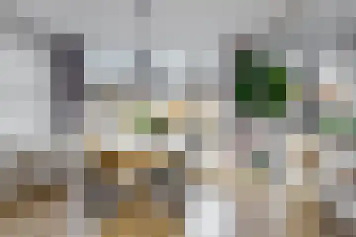 Goudenregenlaan 33 Kamerik thumbnail 10