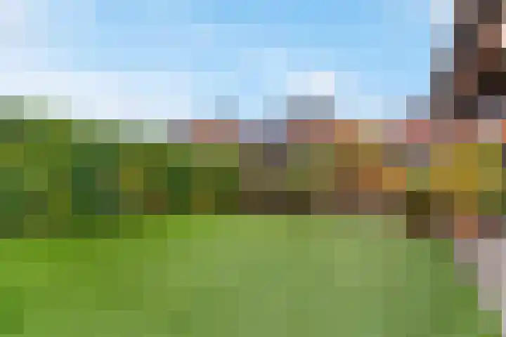 Goudenregenlaan 33 Kamerik thumbnail 38