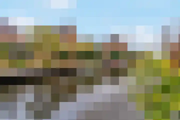 Goudenregenlaan 33 Kamerik thumbnail 39