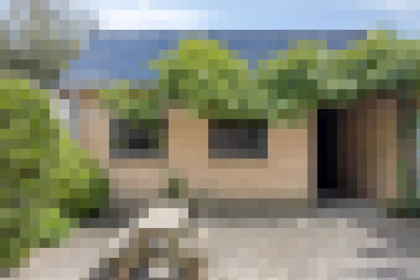 Goudenregenlaan 42 Castricum thumbnail 18