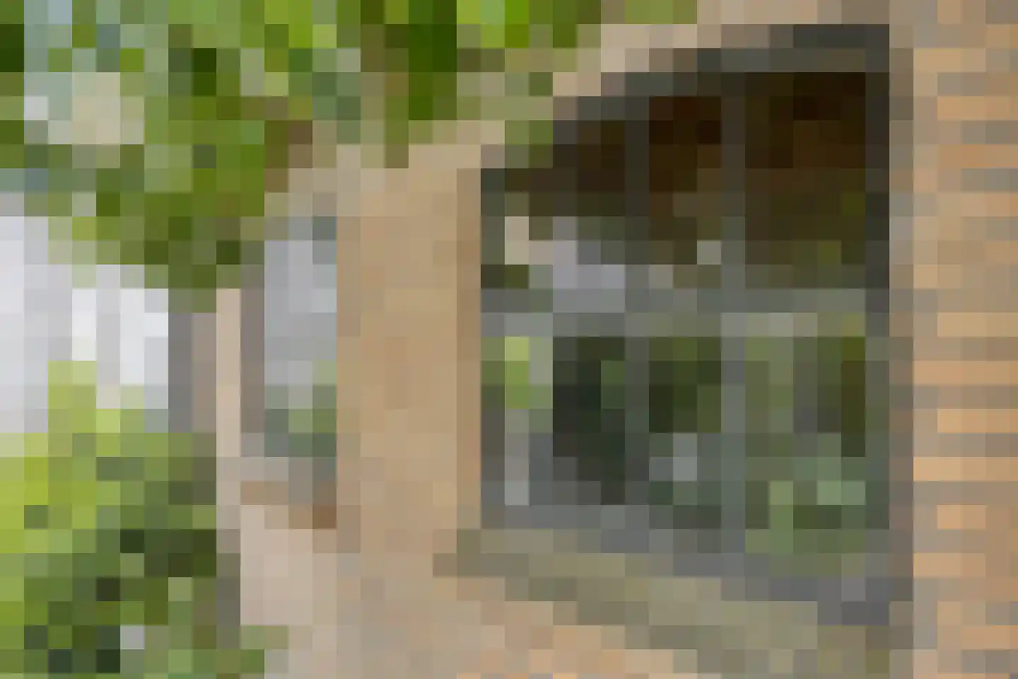 Goudenregenlaan 42 Castricum thumbnail 19