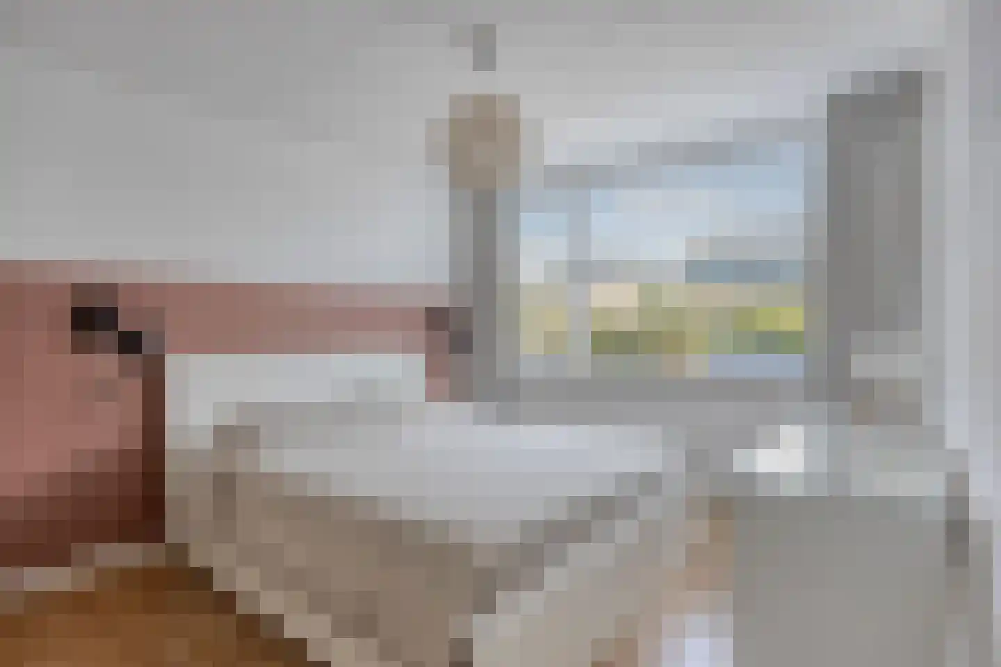Goudenregenlaan 42 Castricum thumbnail 22