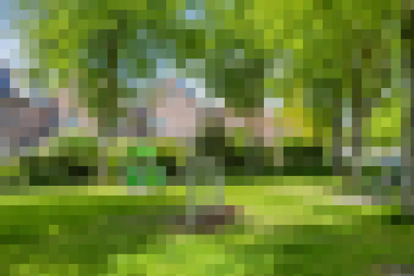 Goudenregenlaan 42 Castricum thumbnail 35